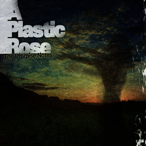 A Plastic Rose