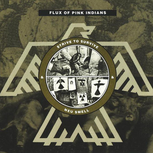 Flux of Pink Indians
