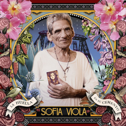 Sofia Viola