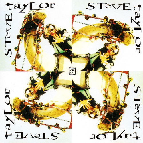 Steve Taylor & The Perfect Foil