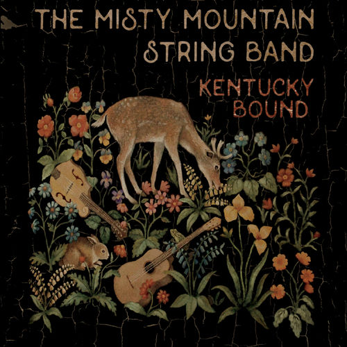 The Misty Mountain String Band