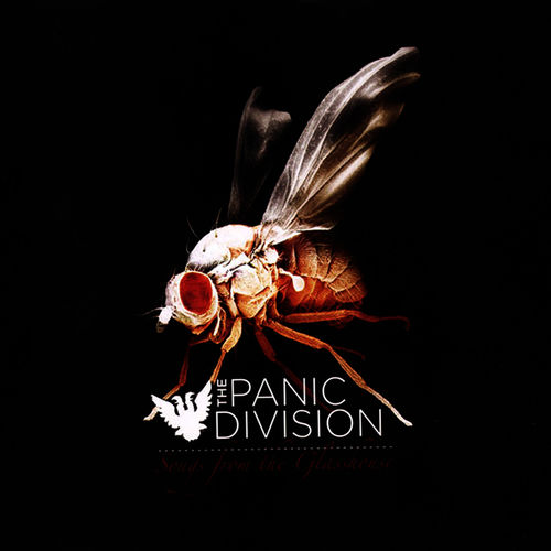 The Panic Division