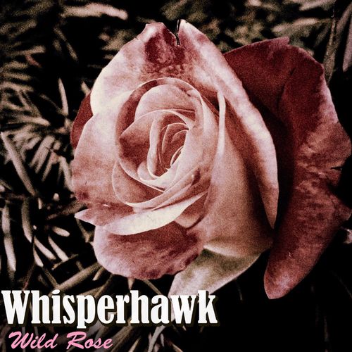 Whisperhawk